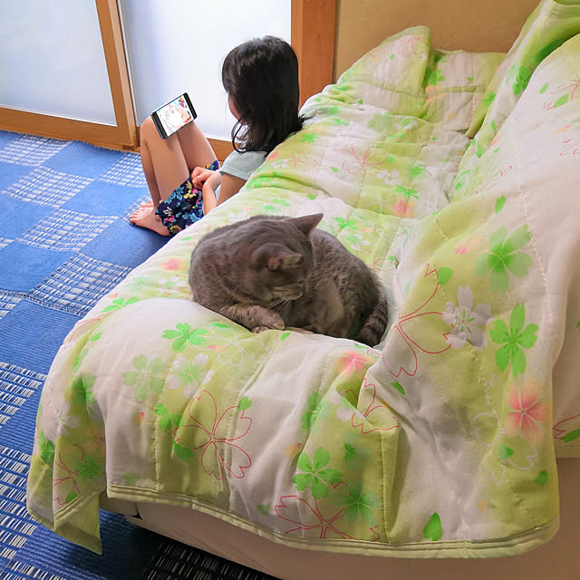 yuukiさんの実例写真