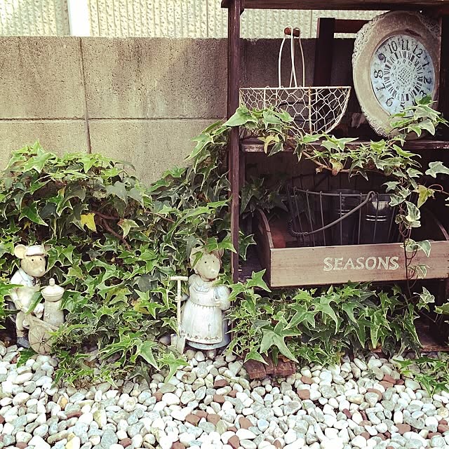 sachiさんの実例写真