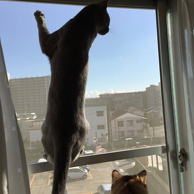 meさんの実例写真