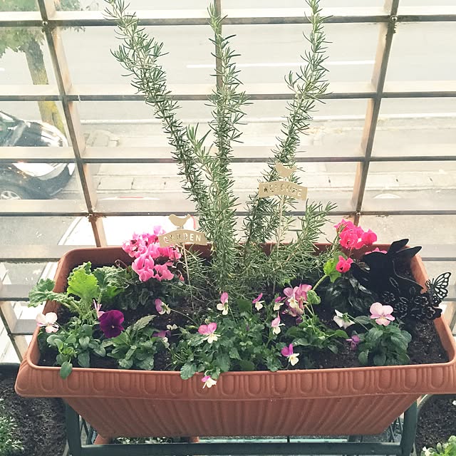 scabiosa1982さんの実例写真