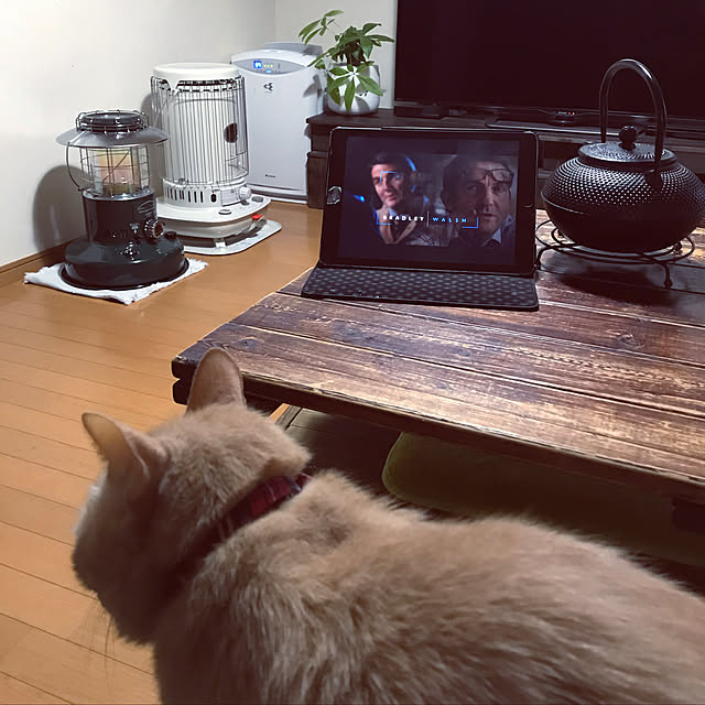 mikan161さんの実例写真