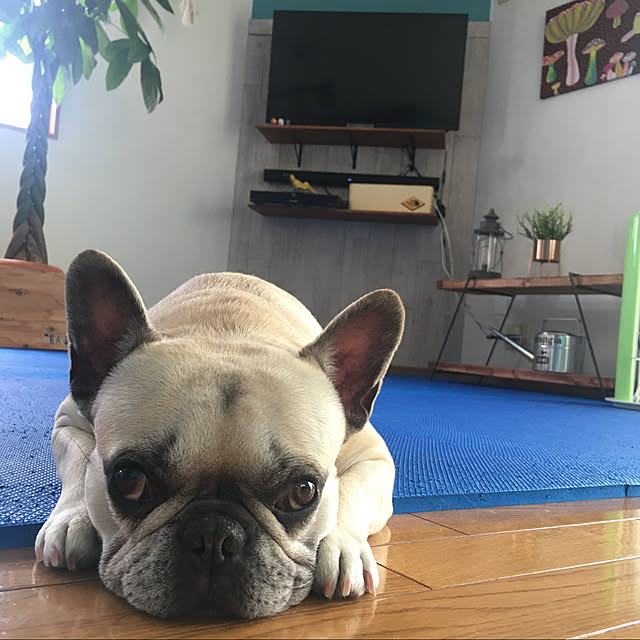 omochiさんの実例写真