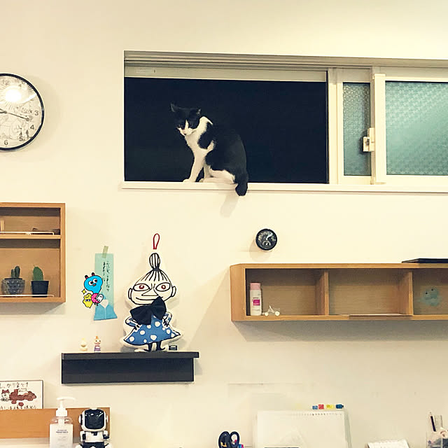 ROMIMIさんの実例写真