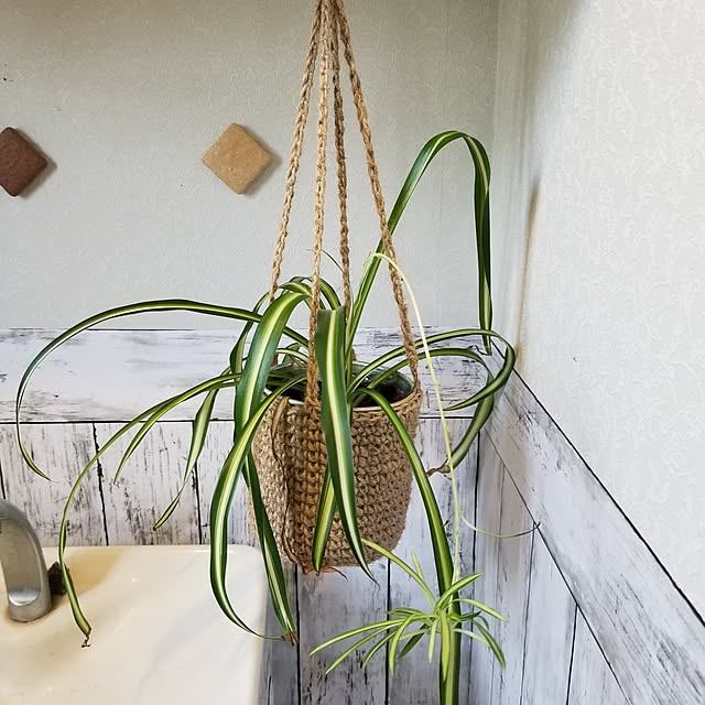midoriさんの部屋