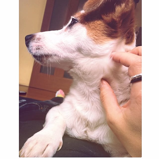 B.Bさんの実例写真