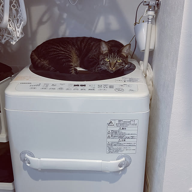 hihaさんの実例写真