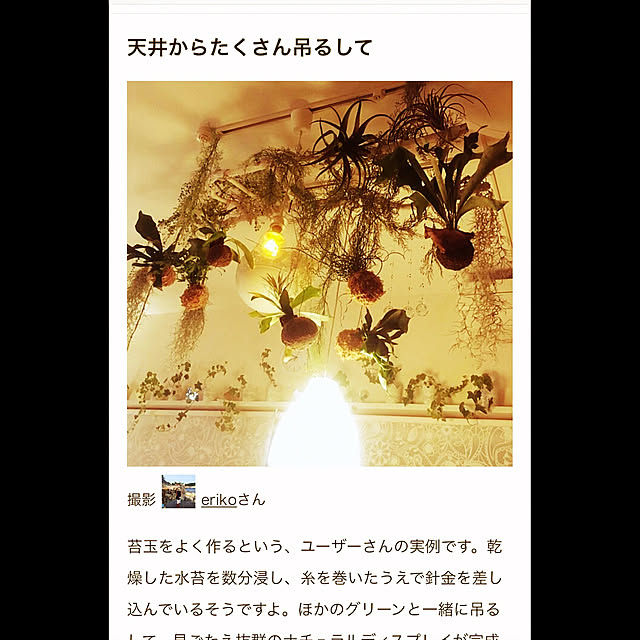 erikoさんの実例写真