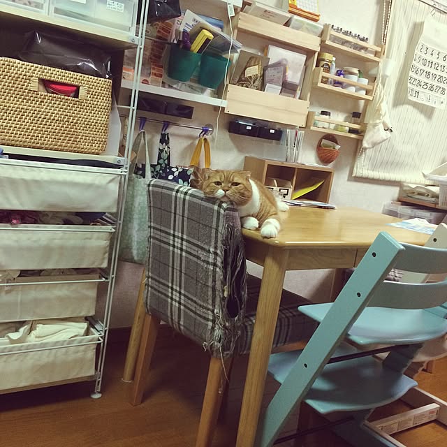 pikkariさんの実例写真