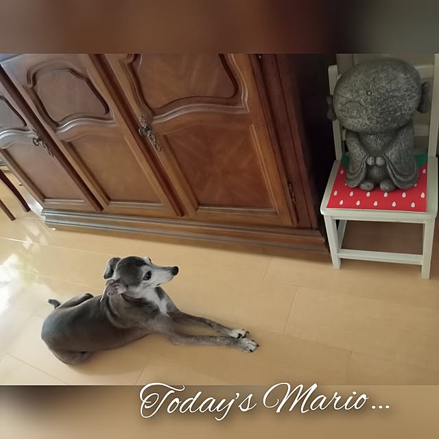 moruさんの部屋