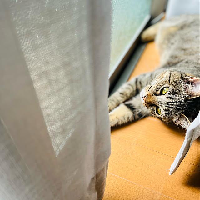 Mさんの実例写真