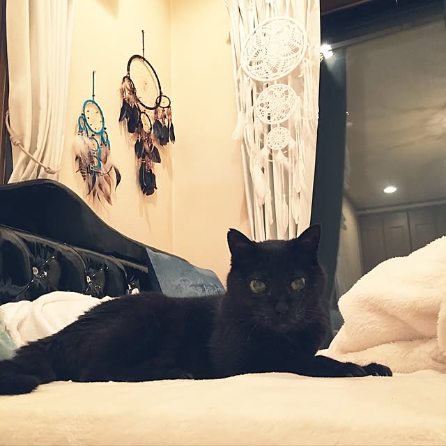 TiffanyTさんの実例写真