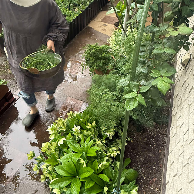 botanさんの部屋
