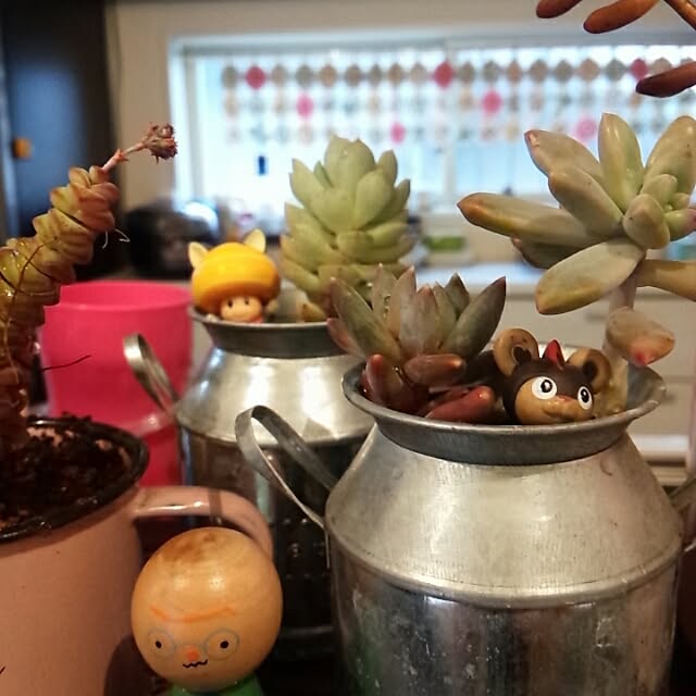 Mi-さんの実例写真
