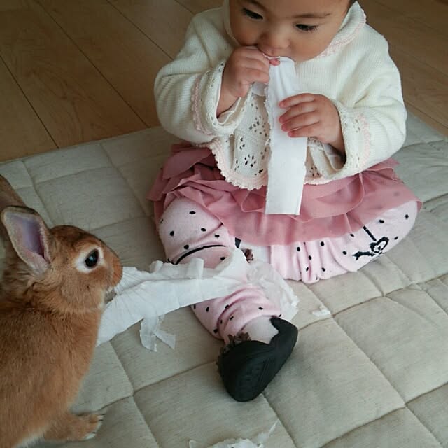 hirariさんの実例写真