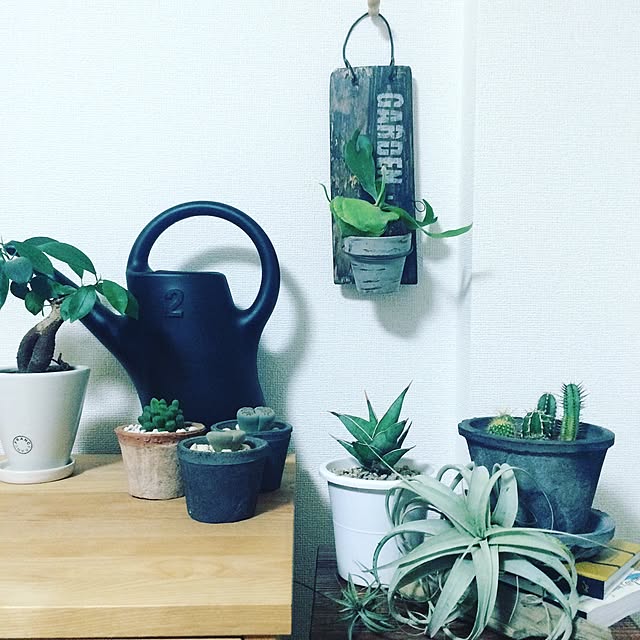 cactusさんの実例写真