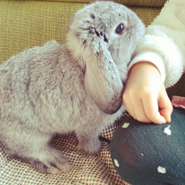 mogu0418さんの実例写真