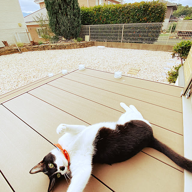 moolさんの実例写真