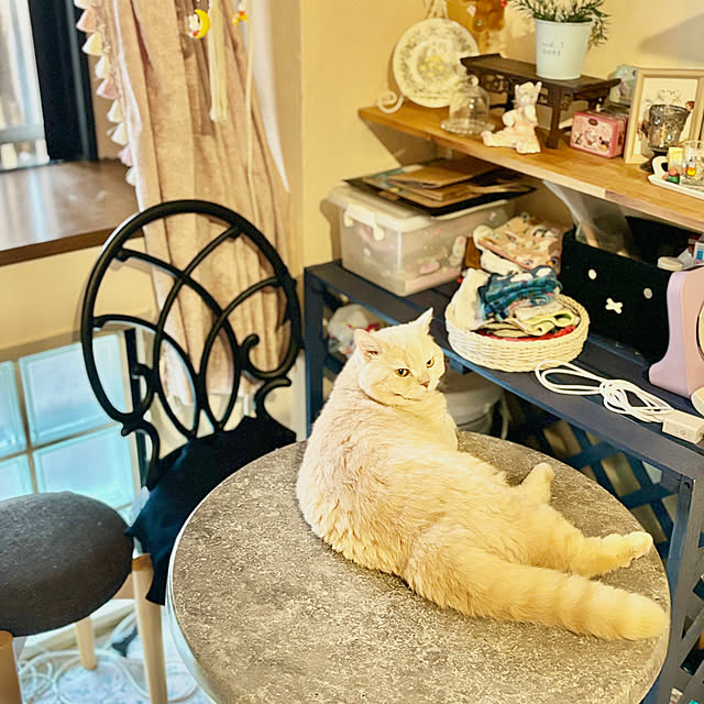 naokoさんの部屋