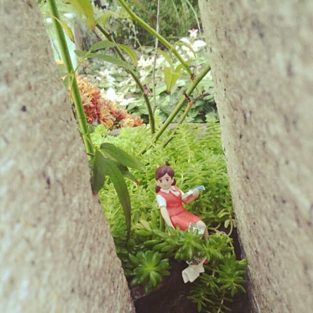 akr29さんの実例写真