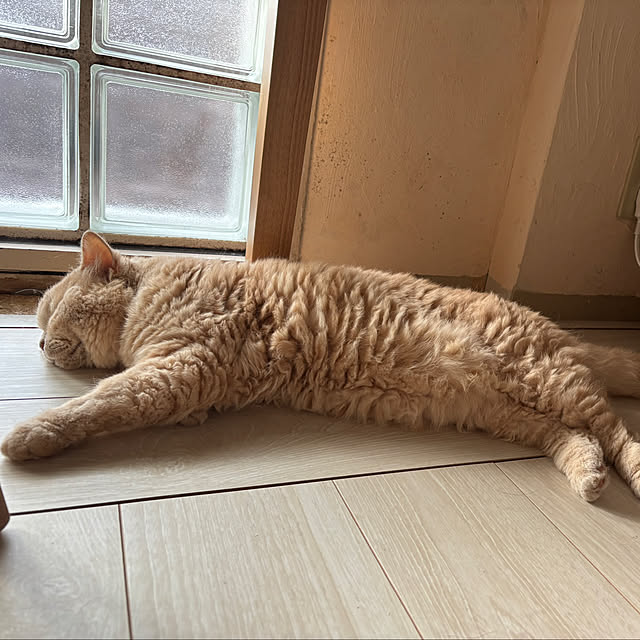 naokoさんの部屋