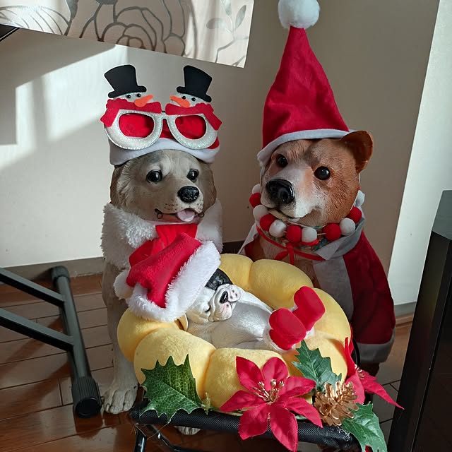 NOAHさんの実例写真