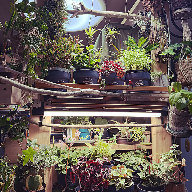 boken-type2さんの実例写真