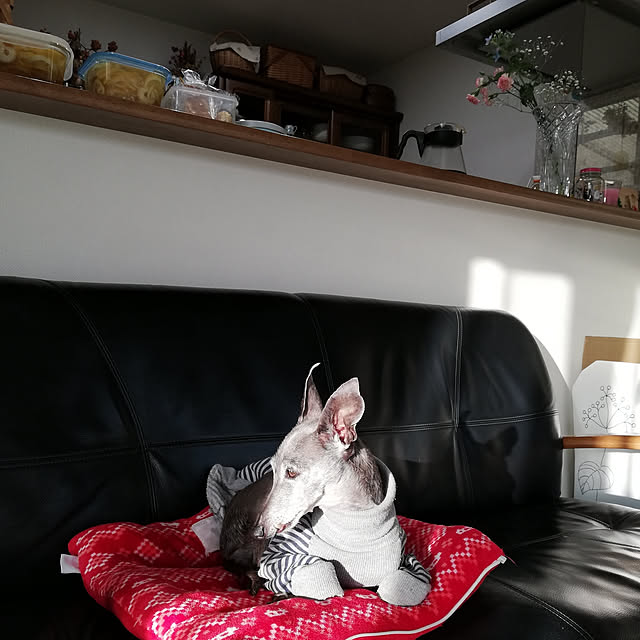 bambiさんの実例写真