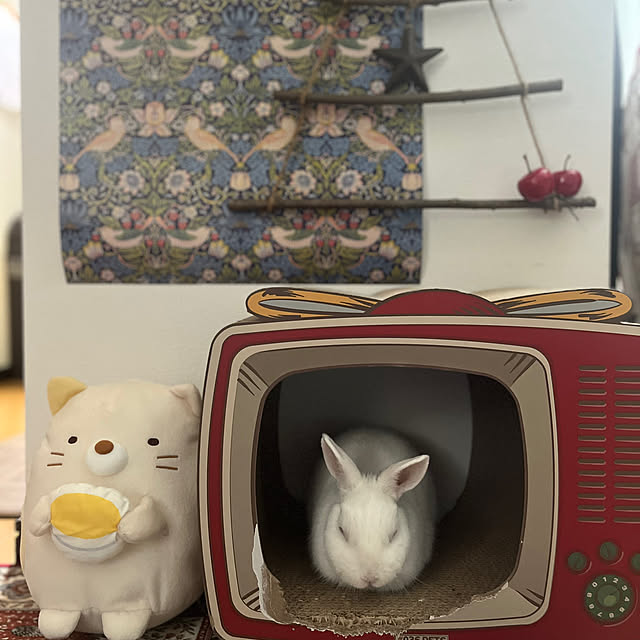 kuraraさんの部屋