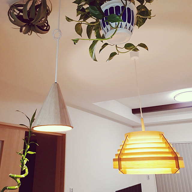 壁/天井/観葉植物/ダイニング照明のインテリア実例 - 2019-03-21 21:47:35