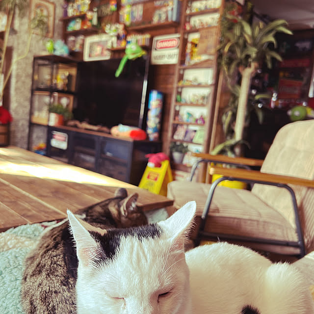 muupoupepeさんの実例写真