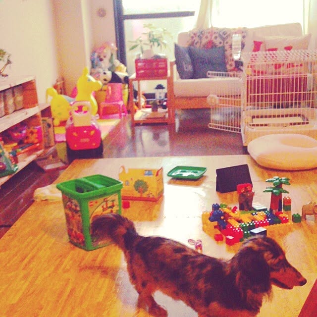 0720さんの実例写真