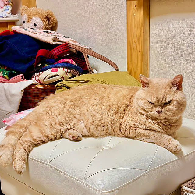 naokoさんの部屋
