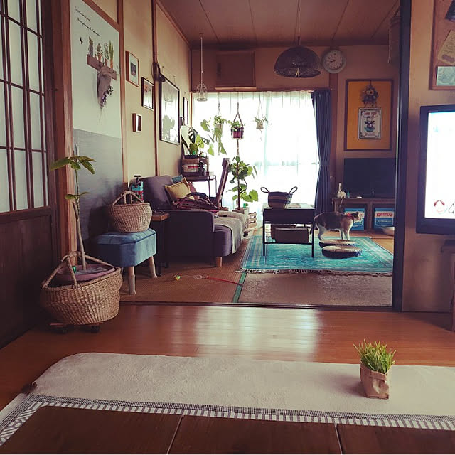fukuさんの実例写真
