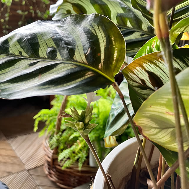 kan2さんの部屋