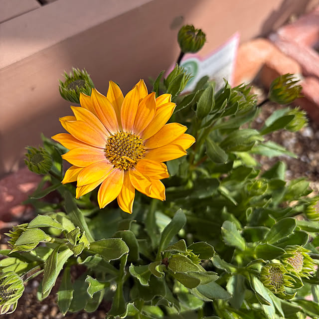 ronronさんの部屋