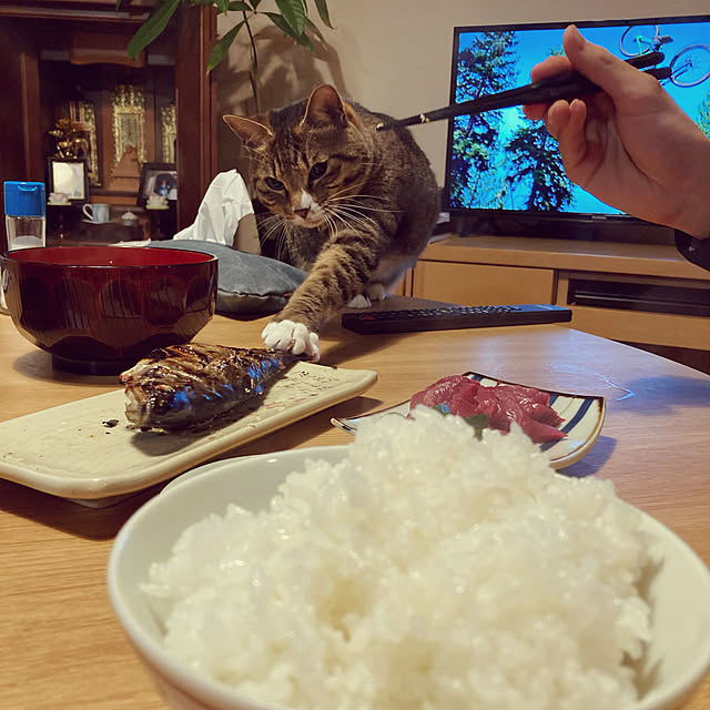 suemonta14さんの実例写真