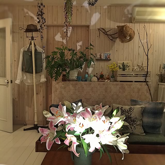 satochanさんの実例写真