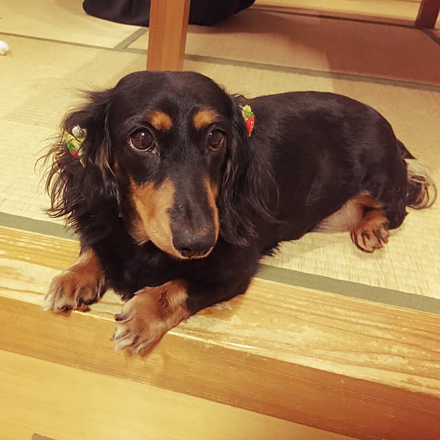 LEMONさんの実例写真
