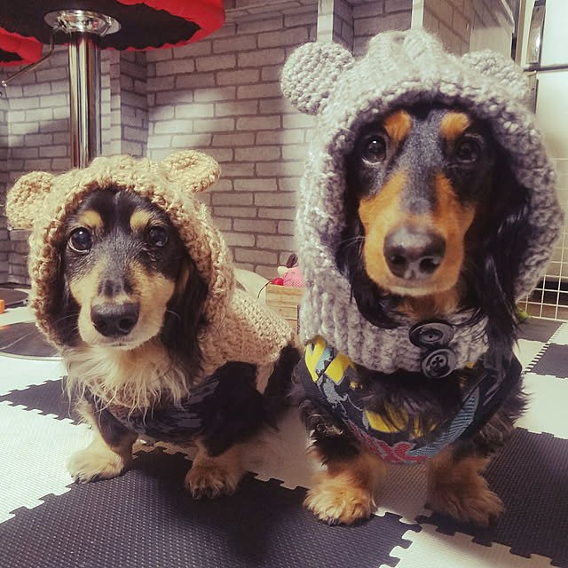 reotanさんの実例写真
