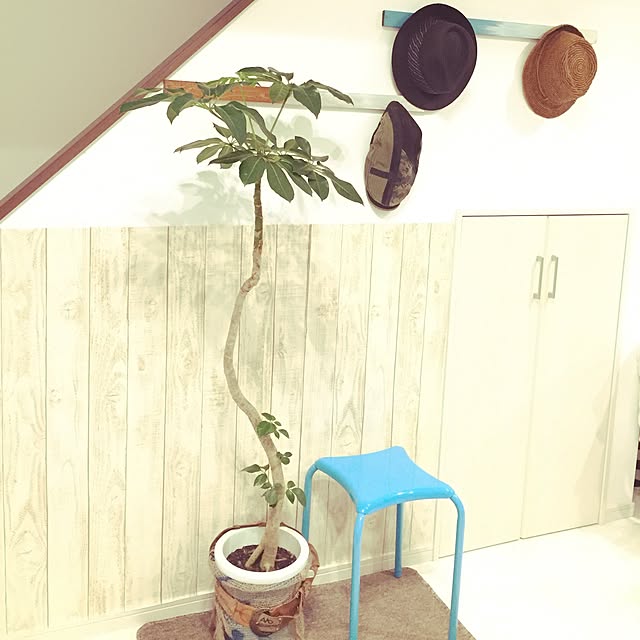 relaxsunさんの実例写真