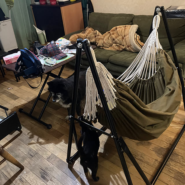 asuranさんの部屋