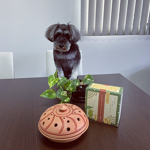 shazuhaさんの実例写真