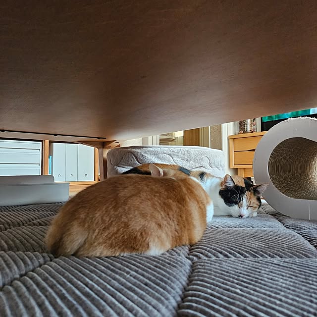 koyurizuさんの部屋
