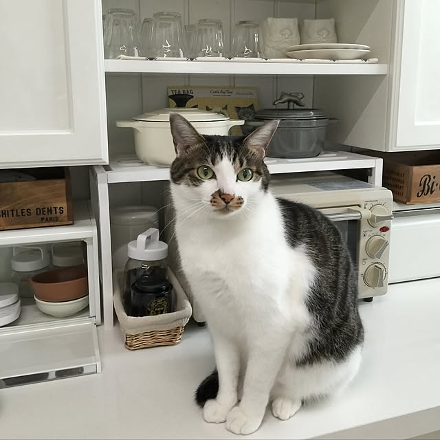 yuchiさんの実例写真