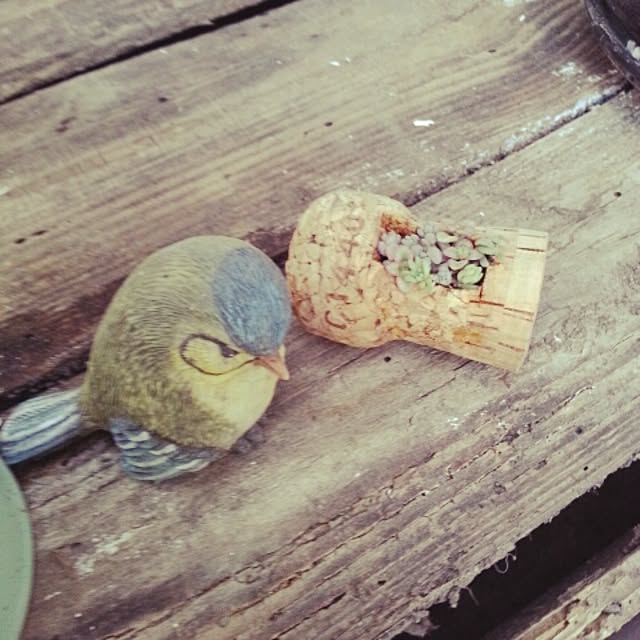 kinuさんの実例写真