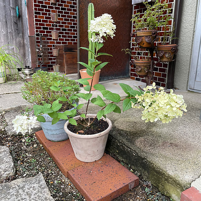 shin0719さんの実例写真