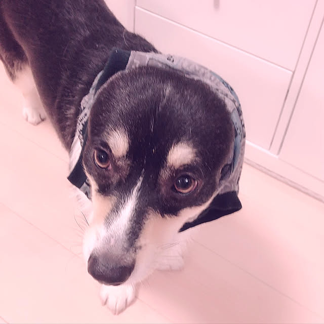 Ruiさんの実例写真
