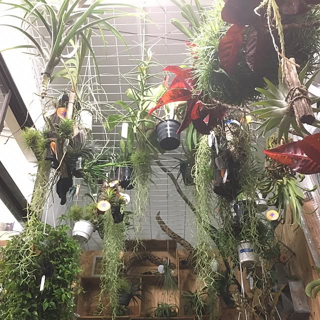 GREENJAMさんの実例写真