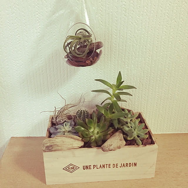 実例写真