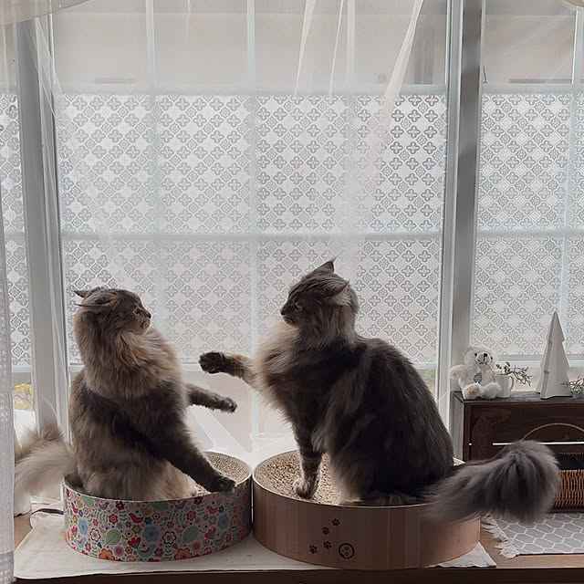 mayumiさんの部屋